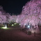 鈴鹿の森庭園