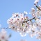 78D51505-67ED-43C3-99C6-60A0816BF85F