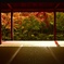 和室と紅葉