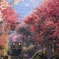 朝の光り