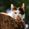 photo1105879
