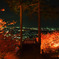 桜夜景