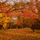 紅葉とベンチ