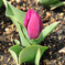 DSC_2845_edited-1