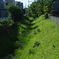 上水跡