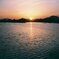 お散歩　江津湖　夕日の入り