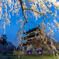 静寂の弘前公園-Ⅶ