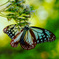 9037D4EF-A0B2-4374-8C6E-85D75B35F9A2