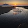 春の砂浜