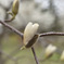 _DSC1869_00001