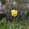 _DSC1904_00001