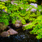 PSX_20220503_135438