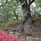 芦城公園