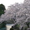 岩渕町