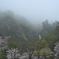 春雨