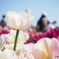 D747F51F-C2E7-4943-BBEC-F93AD85239B5