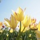 7A7AED8B-3770-46AA-A92D-D7DC38E026A2