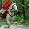 流鏑馬(やぶさめ)神事②〜下鴨神社