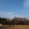 2011-03-20 075