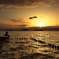 琵琶湖夕景