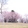 長閑やか