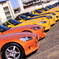 yellow & orange