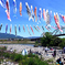 こいのぼりの丹生川渡し（１）