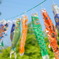 五月晴れを泳ぐ
