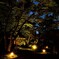 京都洛北の日本庭園夜景2