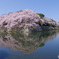 国宝・彦根城の桜6（’22さくら紀行）
