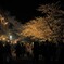 金沢城公園の夜桜２
