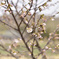 _DSC1933_00001