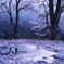 桜散