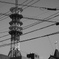 電線