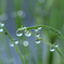 雨上がりの朝