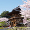 日本の春