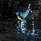 _DSC0225 (3)