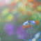 _flareworks