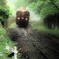雨のRailway