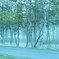 迷い込んだ異世界