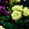 065DC789-1649-4405-99F1-A899B0E05836