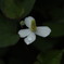3D0D4E95-0986-4610-AB81-C9886CA4CF55