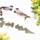 3665BDC2-B47E-4850-B979-0E3F443ADDEB