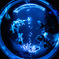 0C18D378-C0DB-42D6-A67E-8DD09985F7DD