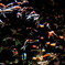 E4F81BCF-2166-4243-AE66-54EB616E622E