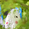 鯉のぼり