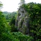 新緑の山