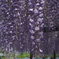 F23AA819-0BB4-4930-8975-50D34DF24757