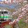 過ぎ去りし日々