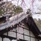 山崎聖天と桜